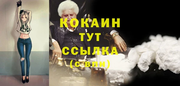mix Богородицк