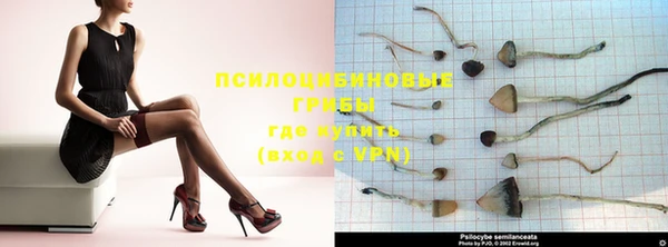 бутик Богданович