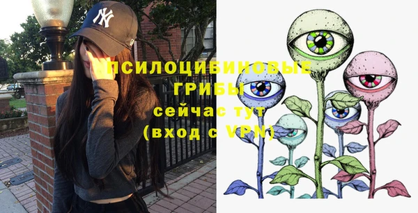mix Богородицк