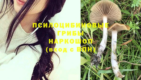 ГАЛЛЮЦИНОГЕННЫЕ ГРИБЫ Богородск