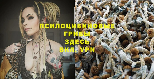 бутик Богданович