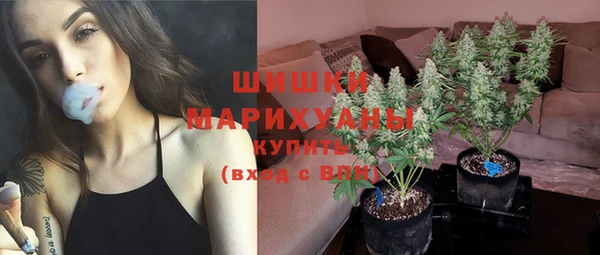 ГАЛЛЮЦИНОГЕННЫЕ ГРИБЫ Богородск