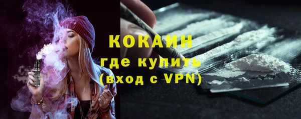 mix Богородицк